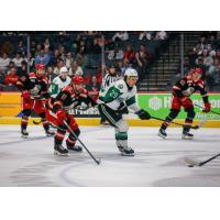 Grand Rapids Griffins' Hunter Johannes, Gabriel Seger, and Carson Bantle battle Texas Stars' Arttu Hyry and Chase Wheatcroft
