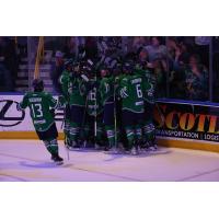 Florida Everblades celebrate win