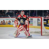 Grand Rapids Griffins goaltender Jan Bednar