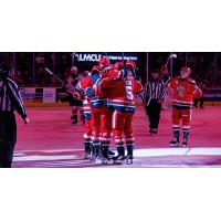 Grand Rapids Griffins huddle following a goal