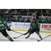 Florida Everblades forward Josh Ho-Sang