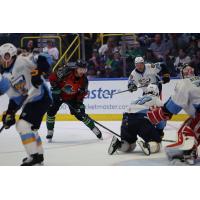 Florida Everblades battle the Toledo Walleye