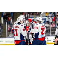 South Carolina Stingrays on game night