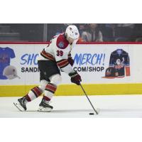 Tucson Roadrunners' Cameron Hebig in action