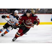 Tucson Roadrunners' Cameron Hebig on game night