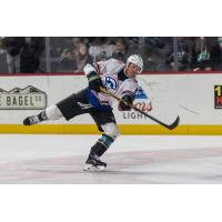 Tahoe Knight Monsters in action