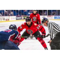 Rapid City Rush center Chaz Smedsrud