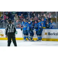 Springfield Thunderbirds on game night