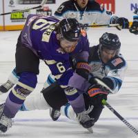 Knoxville Ice Bears' Brendan Dowler versus Quad City Storm's Dillon Fournier