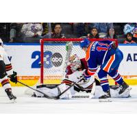 Tucson Roadrunners' Dylan Wells and Bakersfield Condors' James Hamblin  in action
