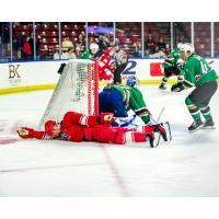 Allen Americans battle the Utah Grizzlies