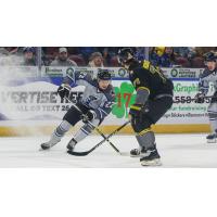 Wichita Thunder forward Michal Stinil vs. the Iowa Heartlanders