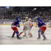 Flint Firebirds battle the Kitchener Rangers