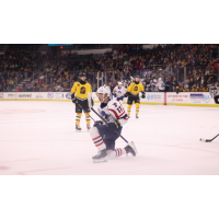 Springfield Thunderbirds center Nikita Alexandrov