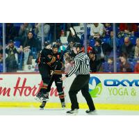 Vancouver Giants celebrate a goal