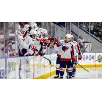 South Carolina Stingrays exchange congratulations along the bench