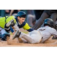 Catcher Hayden Senger with the Columbia Fireflies