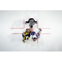 Orlando Solar Bears in the faceoff circle