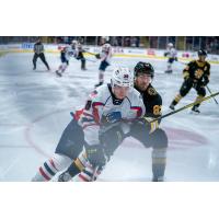 Springfield Thunderbirds forward Tarun Fizer