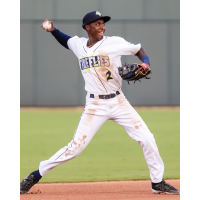 Columbia Fireflies utility man Tyler Tolbert