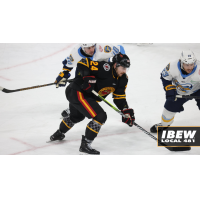 Indy Fuel forward Matus Spodniak