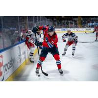 Springfield Thunderbirds forward Dalibor Dvorsky