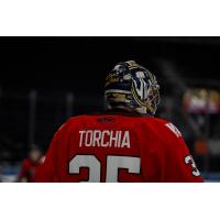 Rapid City Rush goaltender Nathan Torchia