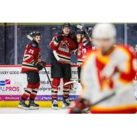 Tucson Roadrunners forward Curtis Douglas after his second-period goal
