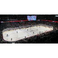 Grand Rapids Griffins play before a big crowd