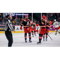 Grand Rapids Griffins right wing Austin Watson