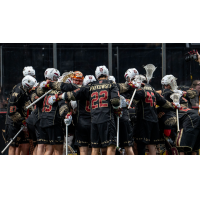 Albany Firewolves huddle