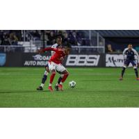 Phoenix Rising in action