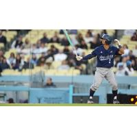 Outfielder Jo Oyama with the University of California, Irvine