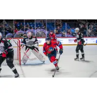 Springfield Thunderbirds' Tarun Fizer in action