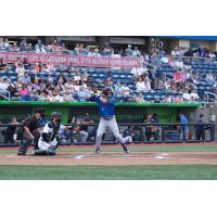 Biloxi Shuckers at bat