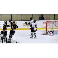 Wheeling Nailers and the Reading Nailers on the ice