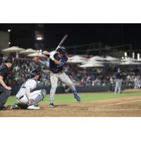 Columbia Fireflies' Asbel Gonzalez at bat