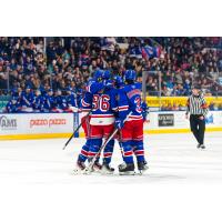 Kitchener Rangers Jacob Xu and Jakub Chromiak celebrate with teammates