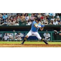 Montgomery Biscuits' Tatem Levins at bat