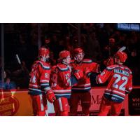 Grand Rapids Griffins' Austin Watson, Nate Danielson, and William Wallinder on game night