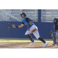 Tampa Tarpons bolt out of the batter's box