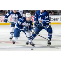 Syracuse Crunch forward Gabriel Szturc vs. the Toronto Marlies