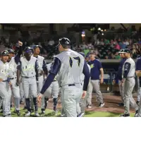 Columbia Fireflies' Manager David Noworyta and team