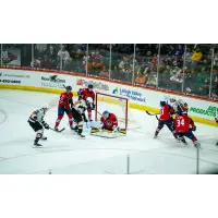 Springfield Thunderbirds battle the Lehigh Valley Phantoms