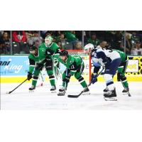Texas Stars' Magnus Hellberg, Luke Krys, and Harrison Scott and Milwaukee Admirals' Kyle Marino
