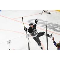 Greenville Swamp Rabbits' Dawson Tritt on game night